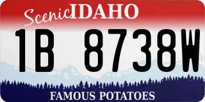 ID license plate 1B8738W