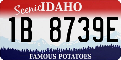 ID license plate 1B8739E