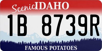 ID license plate 1B8739R