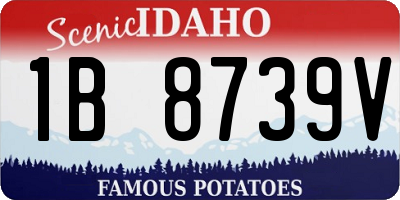ID license plate 1B8739V