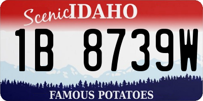 ID license plate 1B8739W