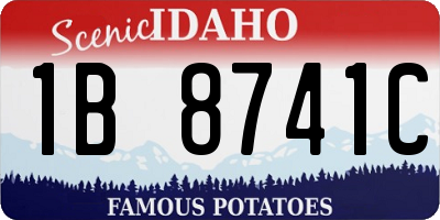 ID license plate 1B8741C