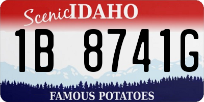 ID license plate 1B8741G