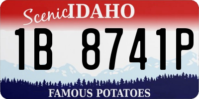 ID license plate 1B8741P