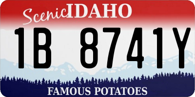 ID license plate 1B8741Y