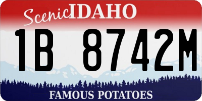 ID license plate 1B8742M