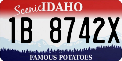 ID license plate 1B8742X