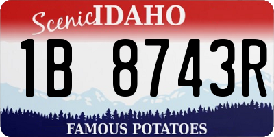 ID license plate 1B8743R