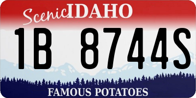 ID license plate 1B8744S