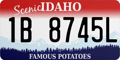 ID license plate 1B8745L