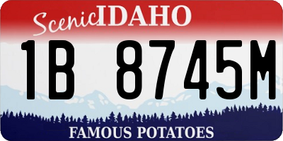 ID license plate 1B8745M