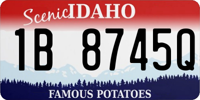 ID license plate 1B8745Q