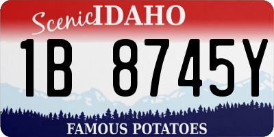 ID license plate 1B8745Y