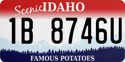 ID license plate 1B8746U