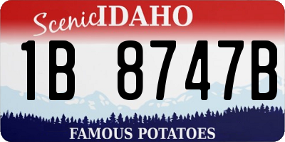 ID license plate 1B8747B