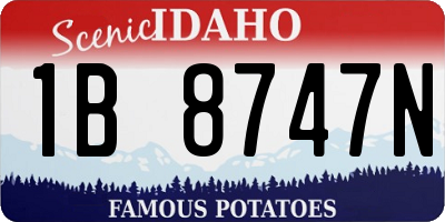 ID license plate 1B8747N