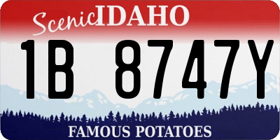 ID license plate 1B8747Y