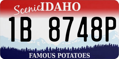 ID license plate 1B8748P