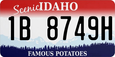 ID license plate 1B8749H