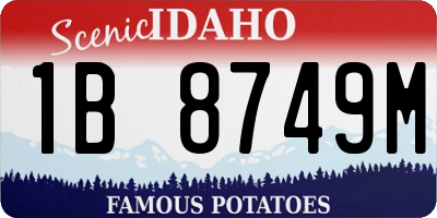 ID license plate 1B8749M