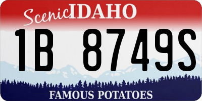 ID license plate 1B8749S
