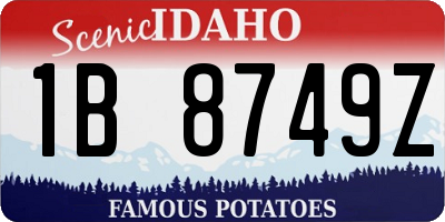 ID license plate 1B8749Z
