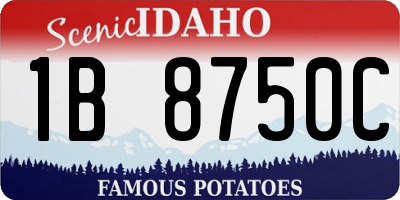 ID license plate 1B8750C