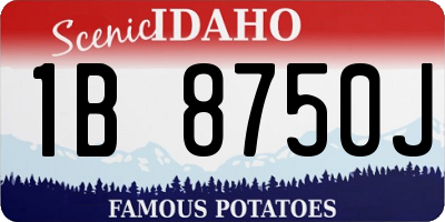 ID license plate 1B8750J