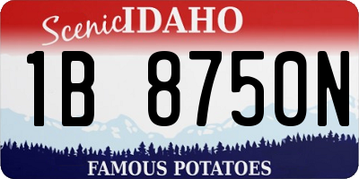 ID license plate 1B8750N