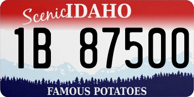 ID license plate 1B8750O