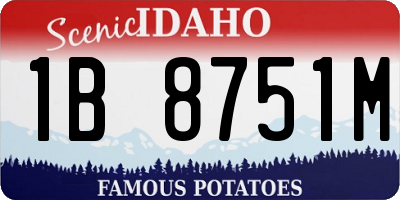 ID license plate 1B8751M