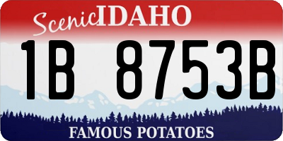 ID license plate 1B8753B