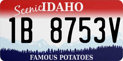 ID license plate 1B8753V