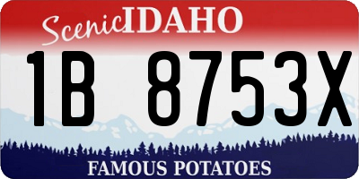 ID license plate 1B8753X
