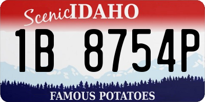 ID license plate 1B8754P