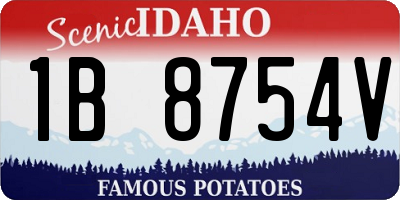 ID license plate 1B8754V