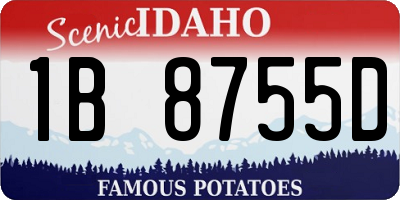 ID license plate 1B8755D
