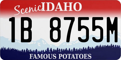 ID license plate 1B8755M