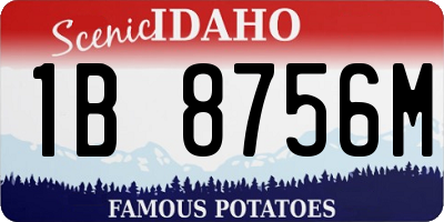 ID license plate 1B8756M
