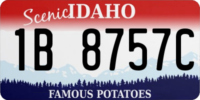 ID license plate 1B8757C