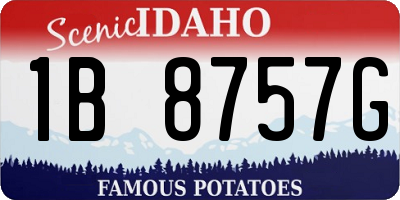 ID license plate 1B8757G