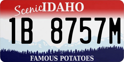 ID license plate 1B8757M