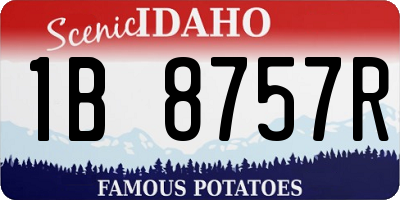 ID license plate 1B8757R