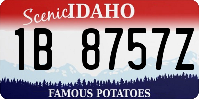 ID license plate 1B8757Z