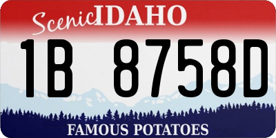 ID license plate 1B8758D