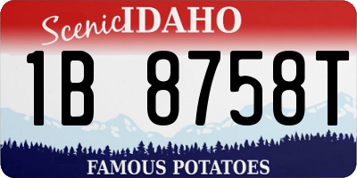 ID license plate 1B8758T
