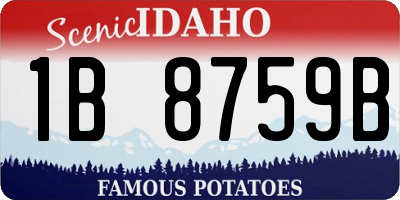ID license plate 1B8759B