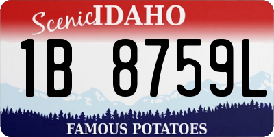 ID license plate 1B8759L