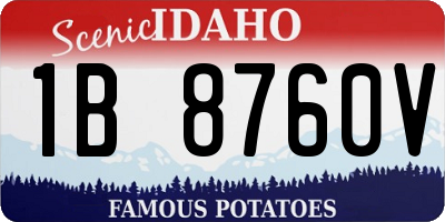 ID license plate 1B8760V