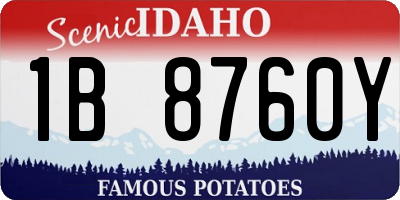 ID license plate 1B8760Y